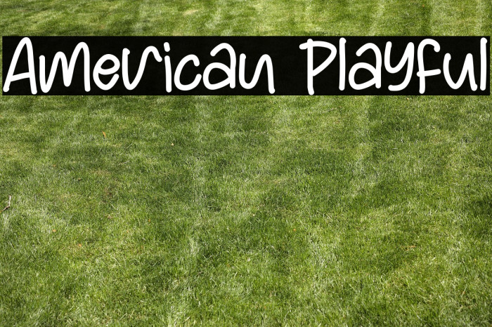American Playful Example 1