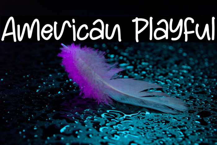 American Playful Example 2