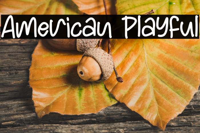 American Playful Example 3