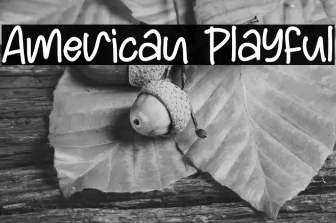 American Playful Caratteri examples