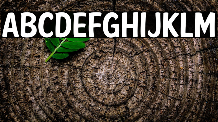 American Purpose Casual 01 Example 2