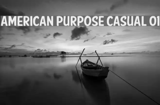 American Purpose Casual 01 Font examples