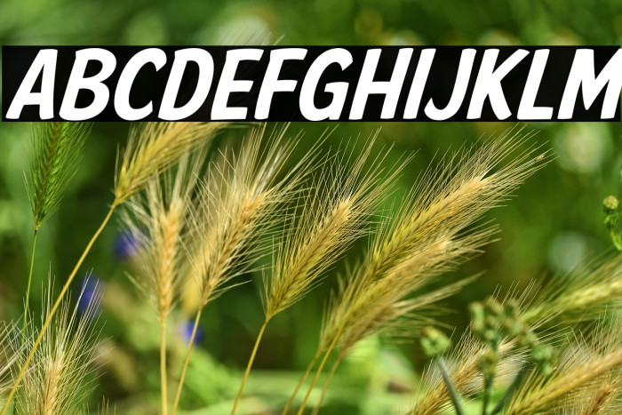 American Purpose Casual 02 Example 1