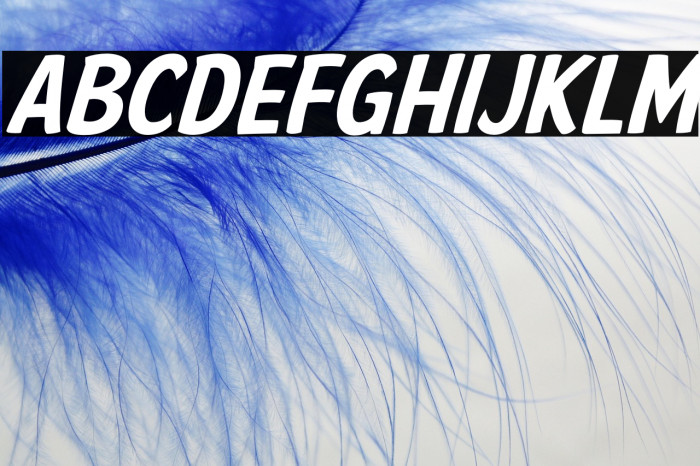 American Purpose Casual 02 Example 2