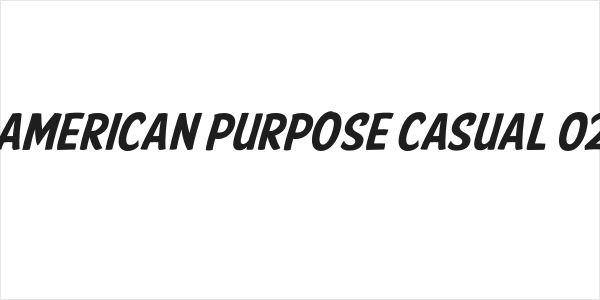 American Purpose Casual 02 Logo