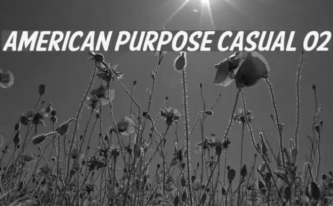 American Purpose Casual 02  examples