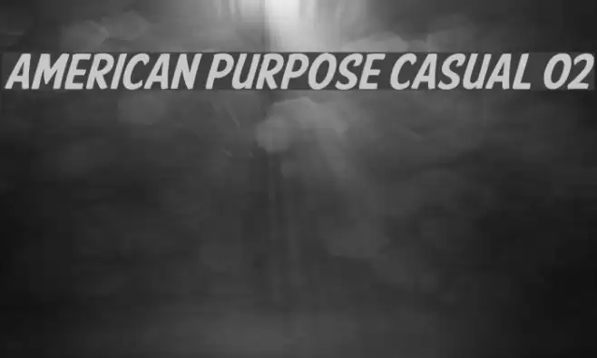 American Purpose Casual 02  examples