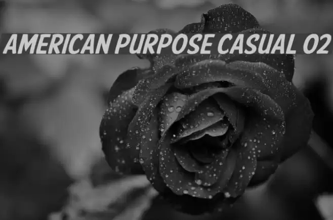 American Purpose Casual 02  examples