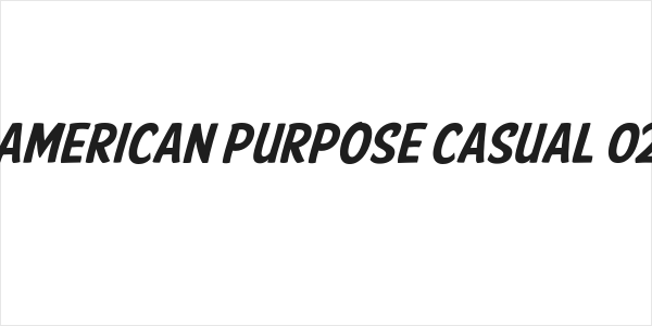 American Purpose Casual 02 Logo