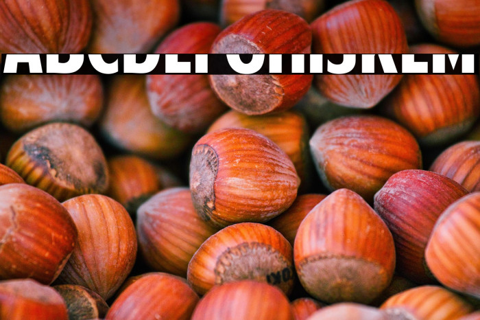 American Purpose STRIPE 1 Bold Italic Example 2