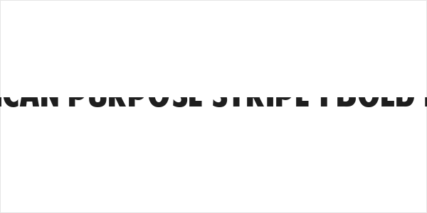 American Purpose STRIPE 1 Bold Italic Logo