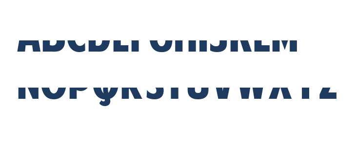 American Purpose STRIPE 1 Bold Italic Lowercase