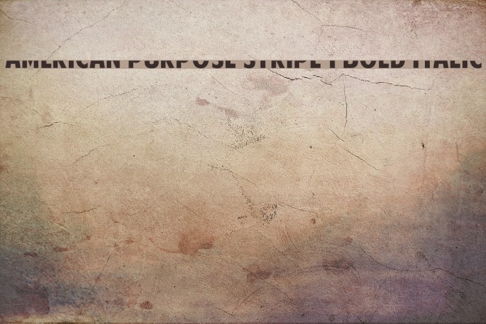 American Purpose STRIPE 1 Bold Italic Example 2