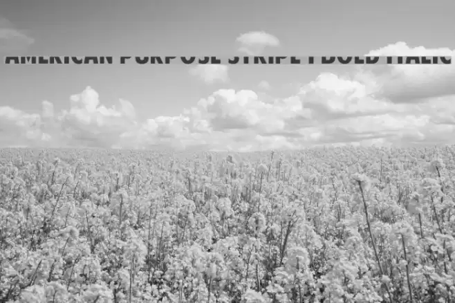 American Purpose STRIPE 1 Bold Italic Font examples