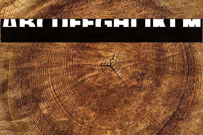 American Purpose STRIPE 1 Bold Example 2