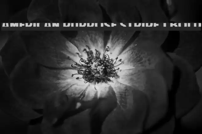 American Purpose STRIPE 1 Bold Font examples