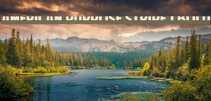 American Purpose STRIPE 1 Bold Font examples