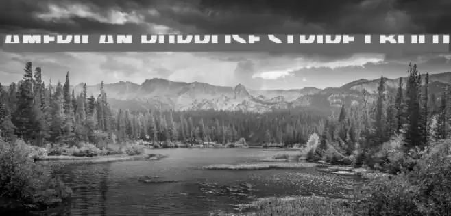 American Purpose STRIPE 1 Bold Font examples