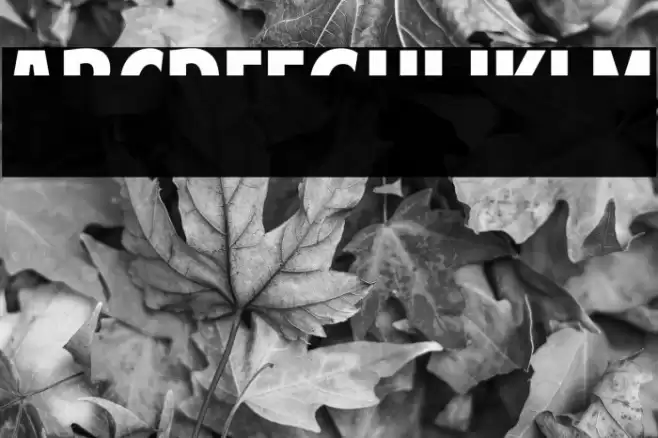 American Purpose STRIPE 1 Normal Italic Font examples