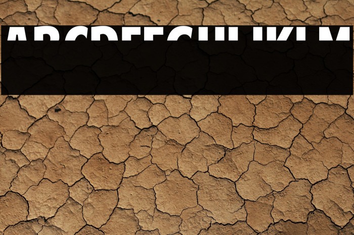 American Purpose STRIPE 1 Normal Italic Example 2