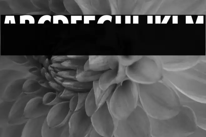 American Purpose STRIPE 1 Normal Italic Font examples