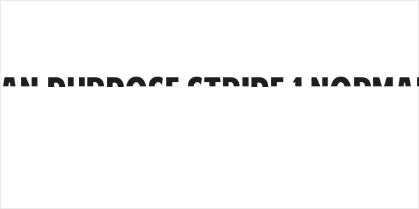 American Purpose STRIPE 1 Normal Italic Logo