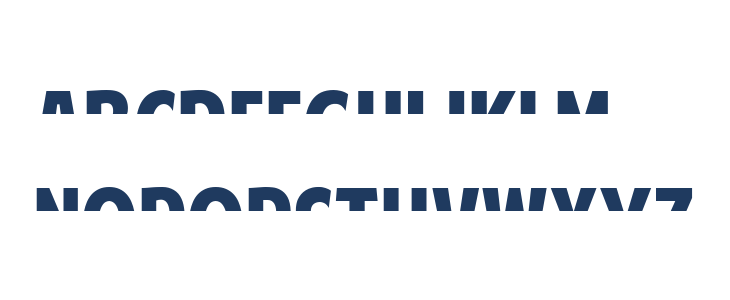 American Purpose STRIPE 1 Normal Italic Lowercase