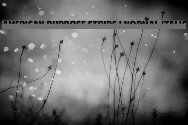 American Purpose STRIPE 1 Normal Italic Font examples