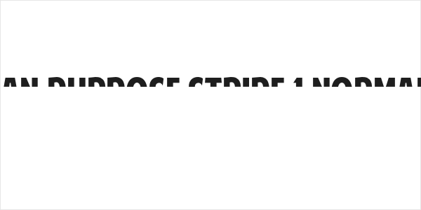 American Purpose STRIPE 1 Normal Italic Logo