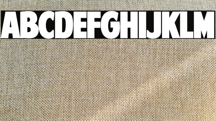 American Purpose STRIPE 1 Normal Example 3