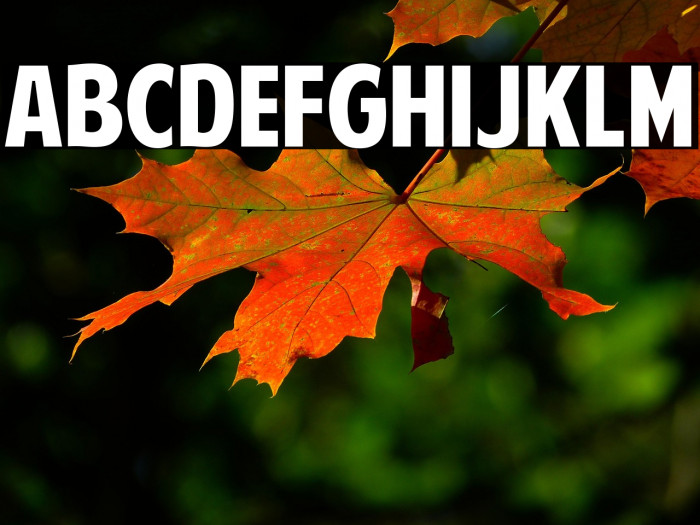 American Purpose Example 1