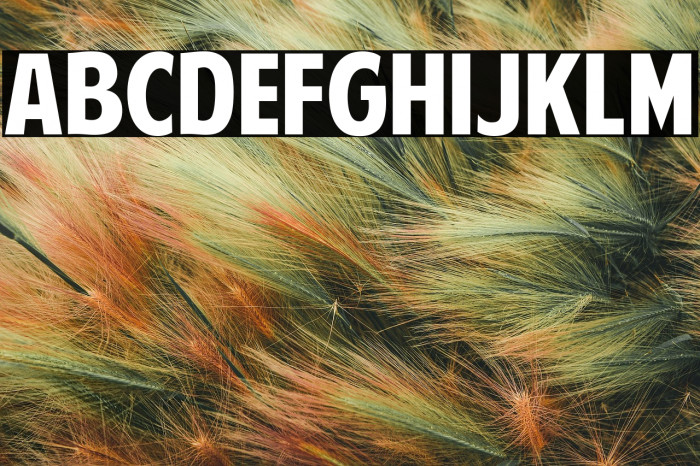 American Purpose Example 2