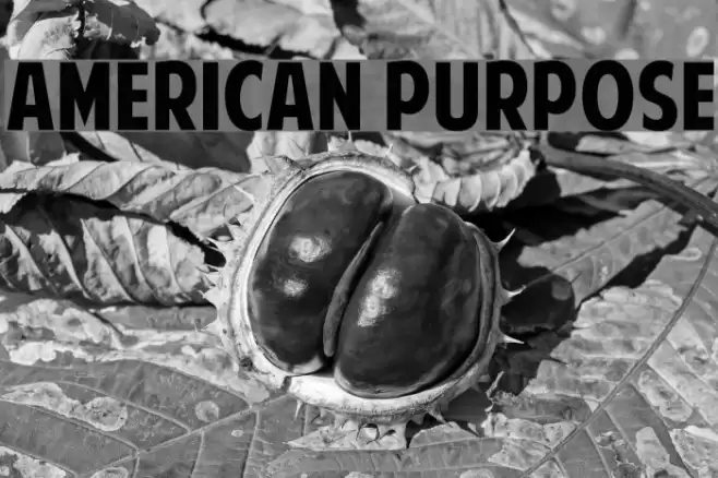 American Purpose Font examples