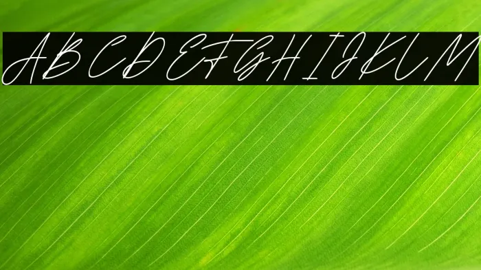 American Signature Example 1