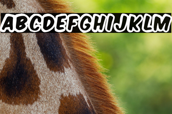 American Signs Example 2