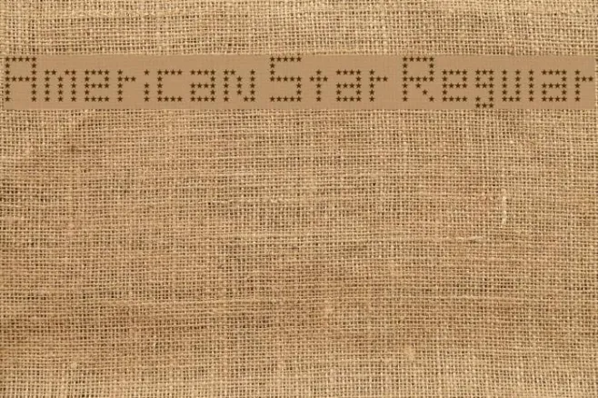 American Star Regular Example 1