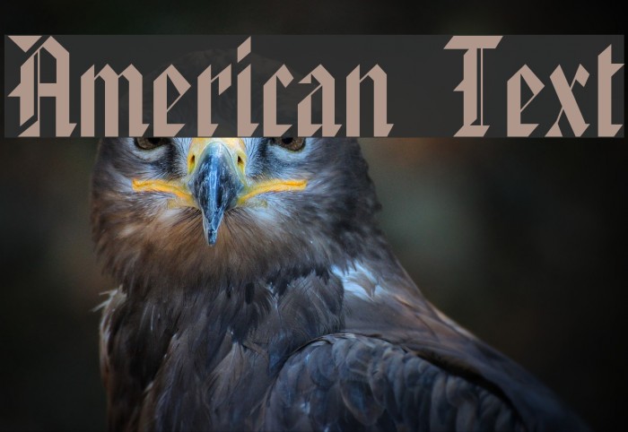 American Text Font examples