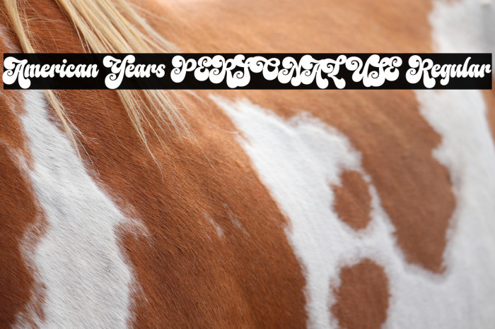 American Years PERSONAL USE Regular Example 1