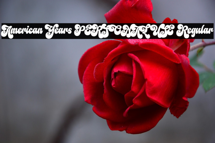 American Years PERSONAL USE Regular Example 2