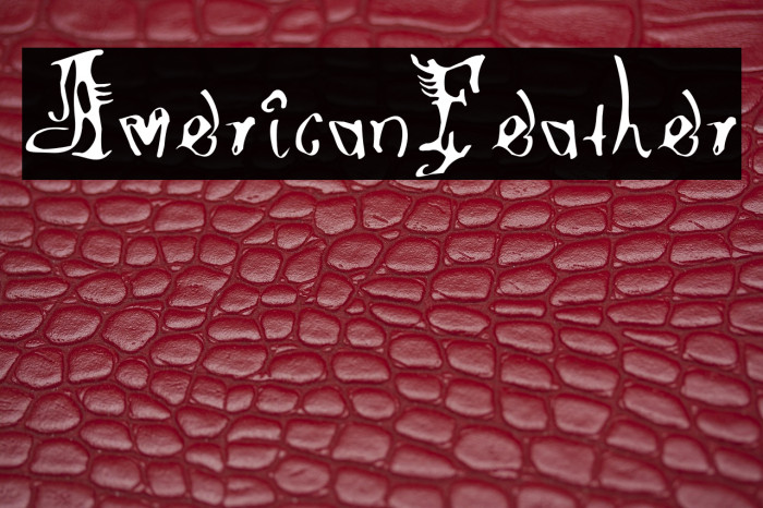 AmericanFeather Example 1