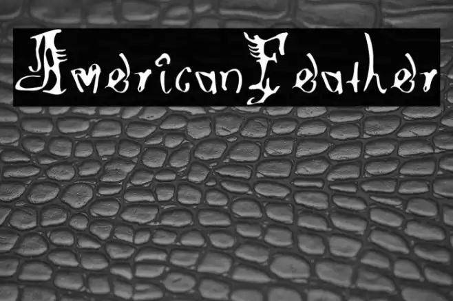 AmericanFeather 字体 examples