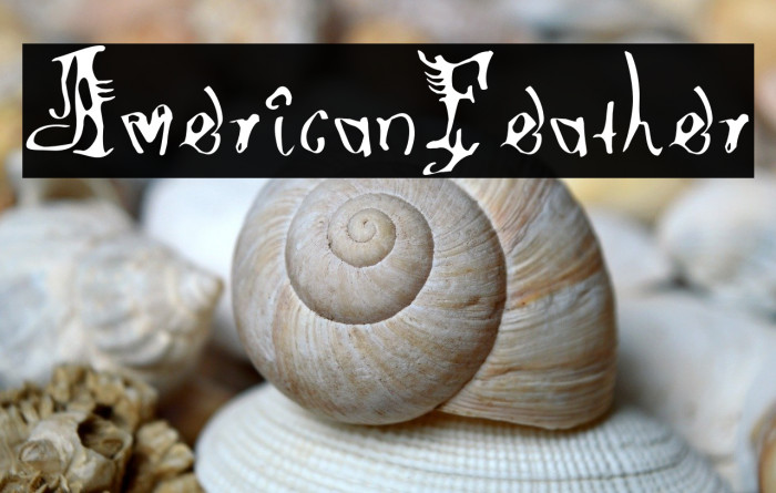 AmericanFeather Example 2