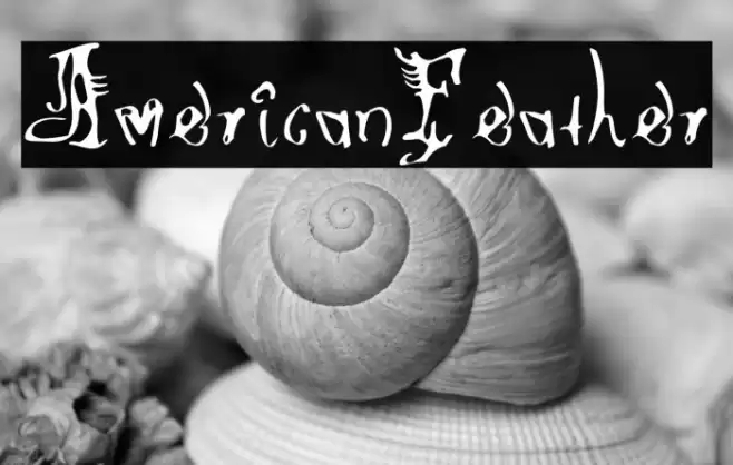 AmericanFeather 字体 examples