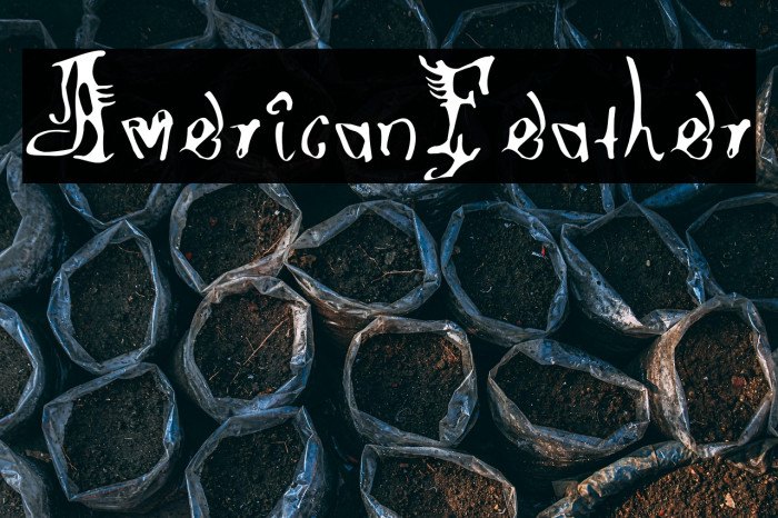 AmericanFeather Example 3