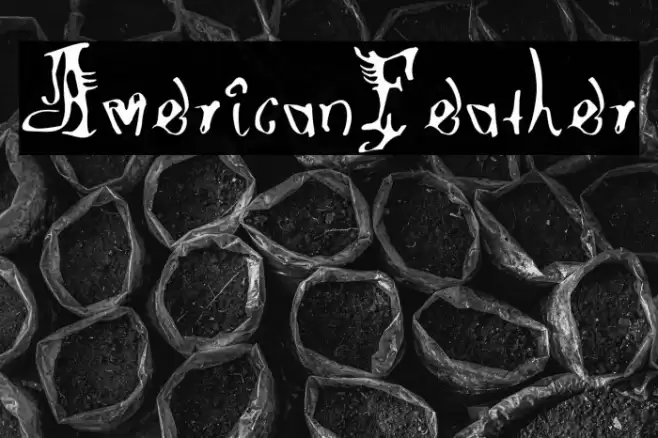 AmericanFeather 字体 examples