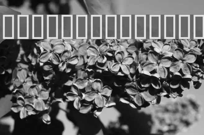 AmericanIndian Font examples