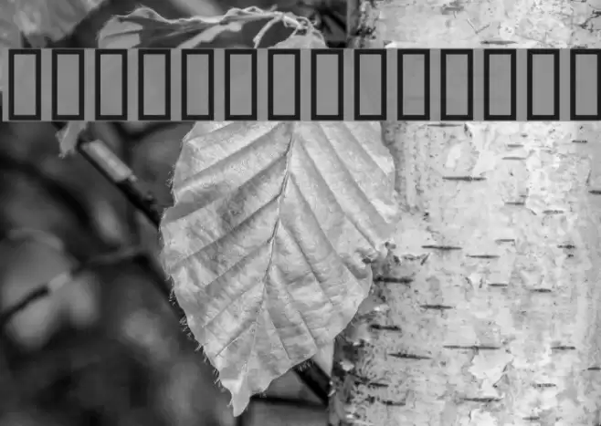 AmericanIndian Font examples