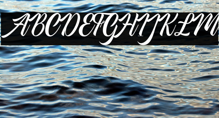 AmericanSignerPersonalUse-Reg Example 1