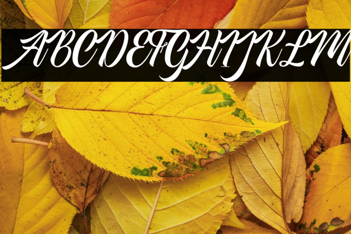 AmericanSignerPersonalUse-Reg Example 2