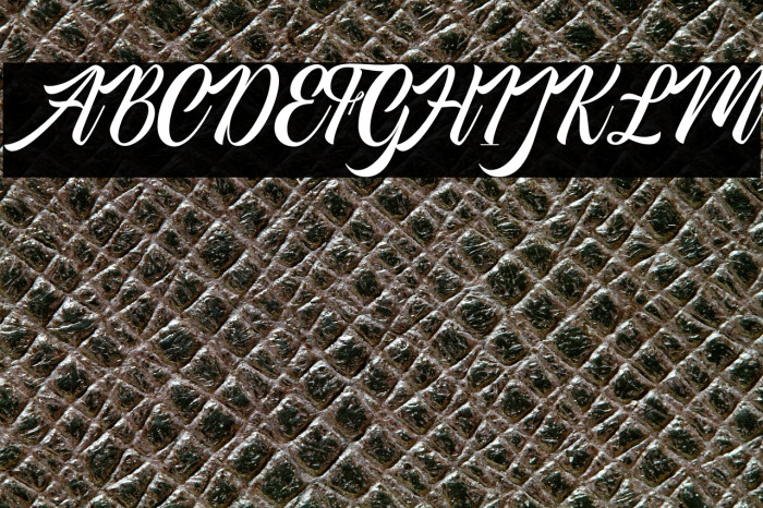 AmericanSignerPersonalUse-Reg Example 3